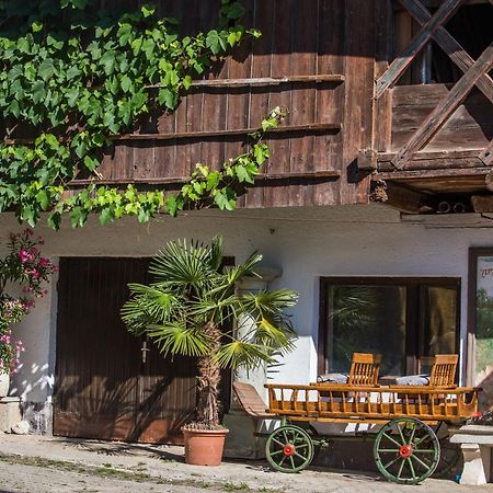 Willa Bio Turisticna Kmetija Frcej-Zupan Bled Zewnętrze zdjęcie