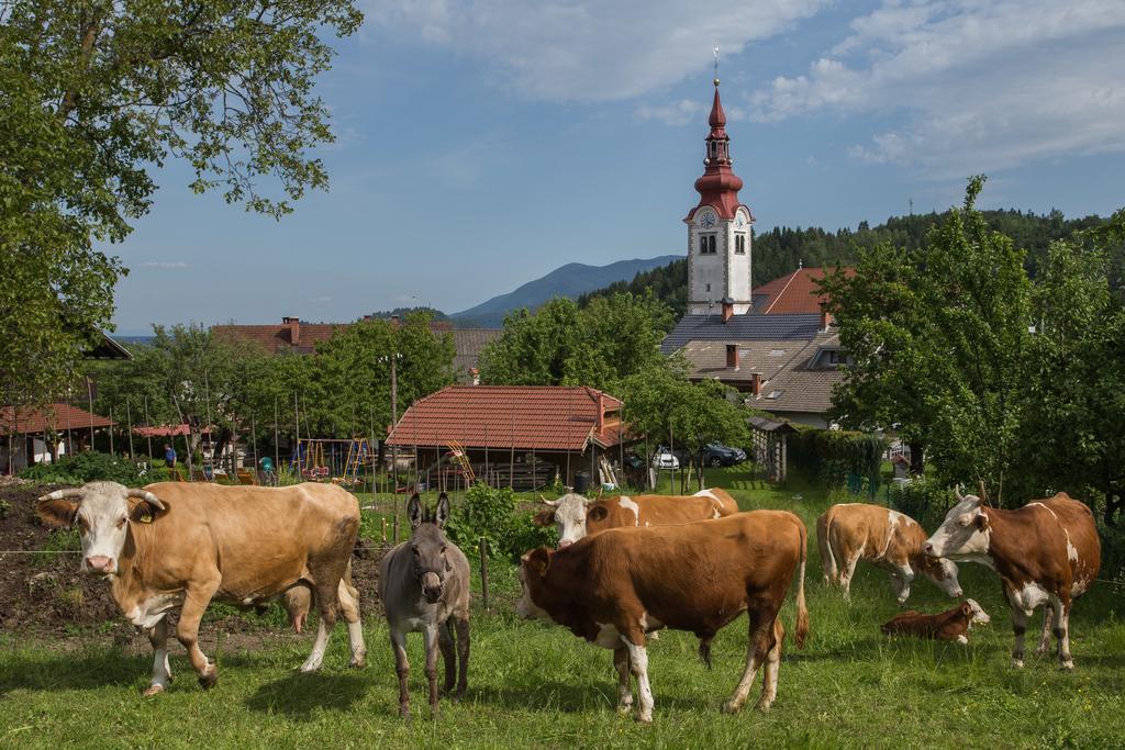 Willa Bio Turisticna Kmetija Frcej-Zupan Bled Zewnętrze zdjęcie